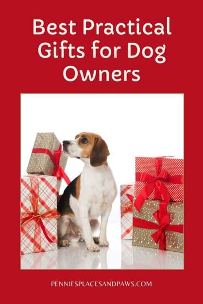 Pre-made pin for Pinterest for the "Practical Gifts for Dog Owners" post