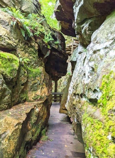 Wooden boardwalk at Beartown State Park narrowly passing through moss covered walls on both sides