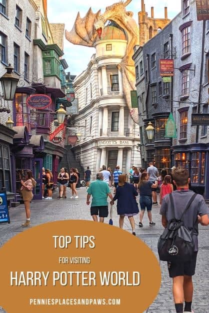 Pre-made pin for Pinterest for the Harry Potter World Tips post