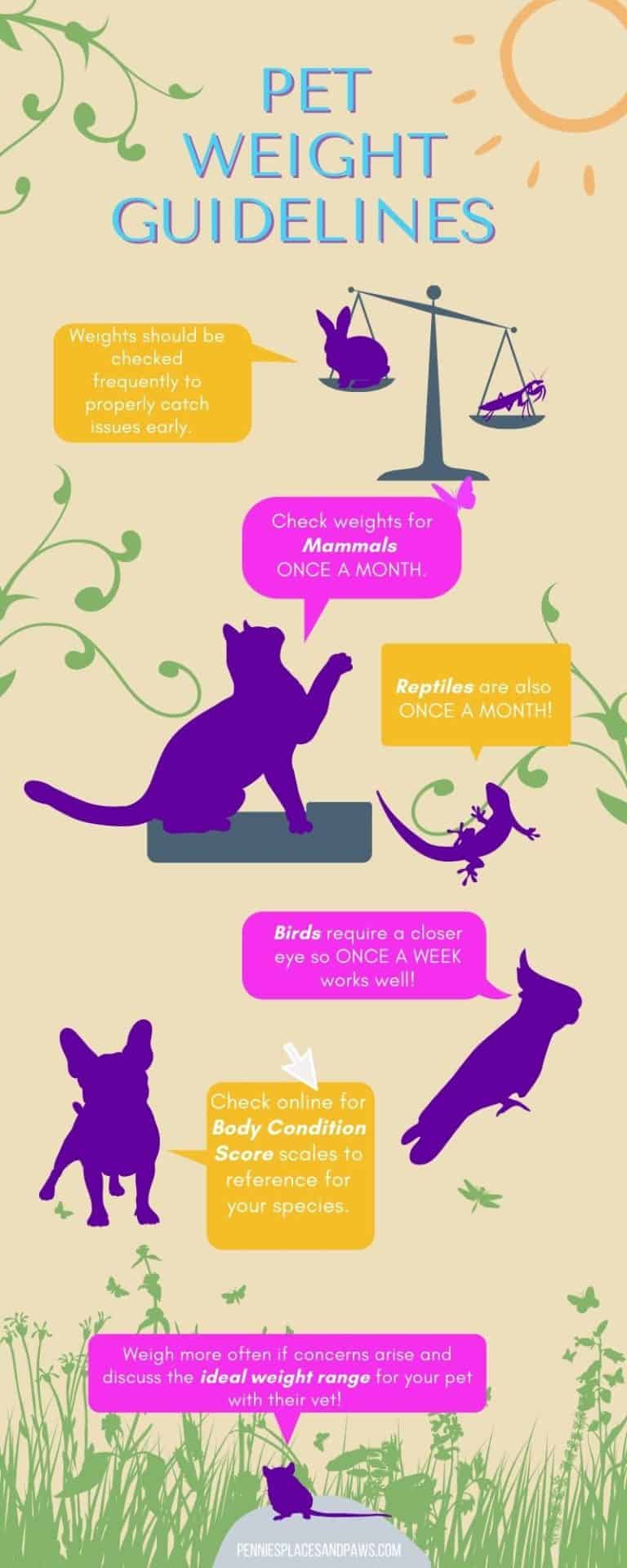 Is Your Pet a Healthy Weight? Pennies, Places, and Paws