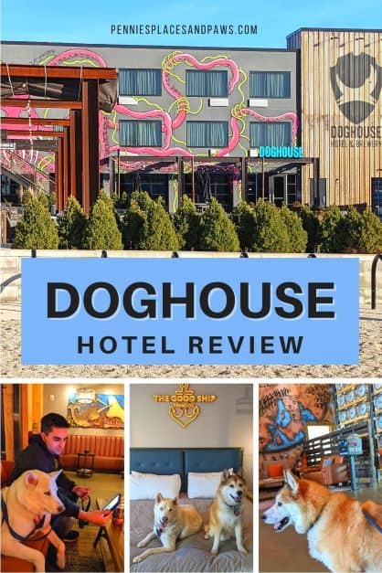 DogHouse Hotel Review pin for Pinterest
