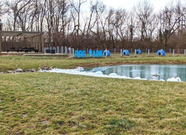 Dog Park at DogHouse Hotel. Gated area with a large blue metal sign that is cut out in the text DOG PARK. Bright blue tires are buried halfway, embellish inside of the dog park. Wooded area can be seen behind park. A partially frozen pond is seen in front of park. A wooden gazebo with string lights and picnic tables is seen to left of park.