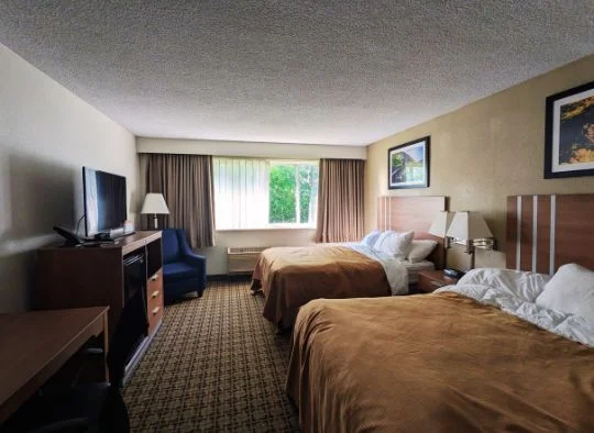 Empty dog-friendly hotel room with a double bed