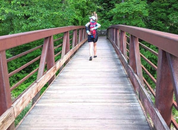 Bridge on the Seneca Rocks hiking trail