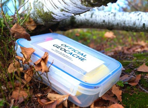 Geocache tubberware box in a pile of leaves and grass