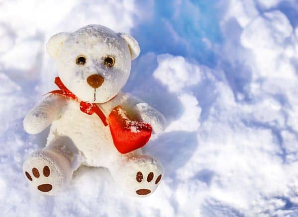 Stuffed toy Polar bear holding heart