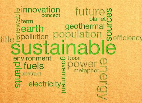 Poster with words about sustainability on it like electricity, plants, pollution, etc