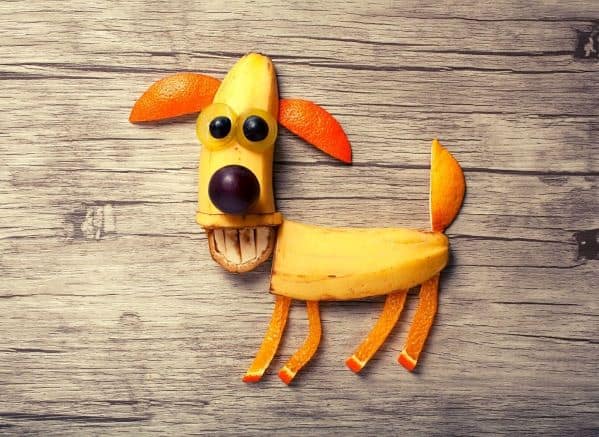 dog made of fruits