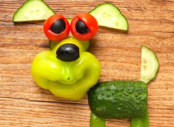 Dog made out of pieces of vegetables
