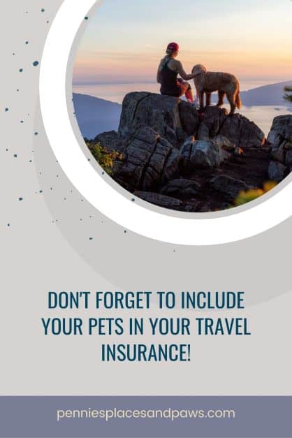 Travel Insurance for Dogs pin