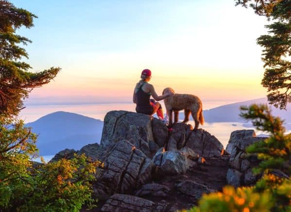 Woman and dog on mountain looking at sunset