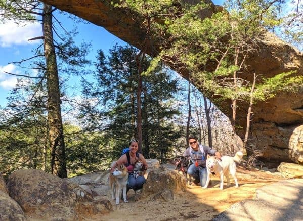 couple sitting with 4 dogs under a natural rock arch on their dog-friendly vacation