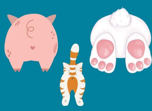 Cartoon animal butts (pig, cat, bunny)