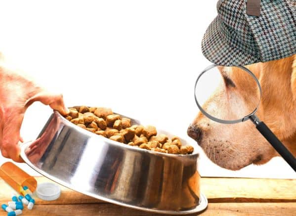 Dog wearing detective hat and magnifying glass searching food bowl. Pill bottle is under food bowl