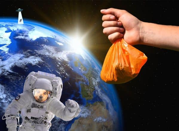 person holding a poop bag near a dog wearing a spacesuit in outer space