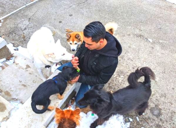 Man giving out treats to 5 dogs standing around him