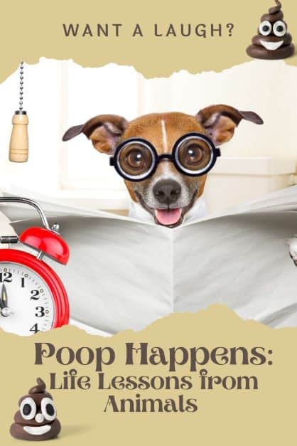 Poop Happens Life Lessons from the animal kingdom pin for Pinterest