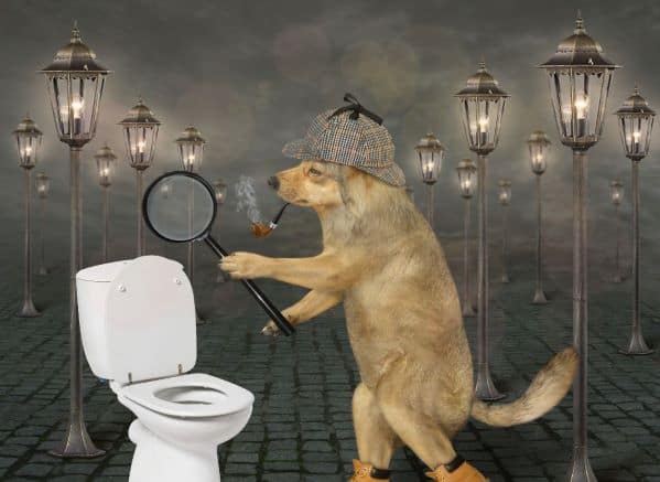 Dog wearing a sherlock holmes' hat holding a magnifying glass and looking at a toilet