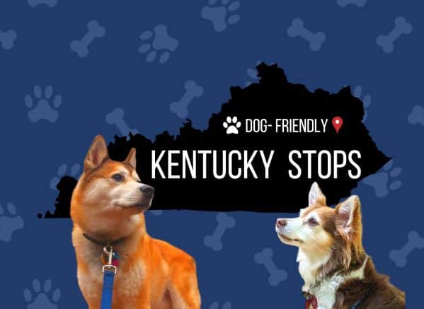 Dog Friendly Kentucky Stops written across the shape of KY with two dogs in front of it