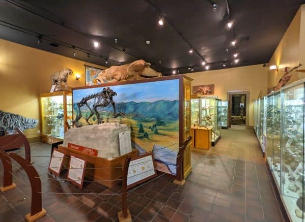Inside the Bob Campbell Geology Museum. You can see several fossil and mineral exhibits and displays