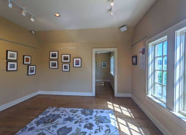 Room with multiple photos and art on the walls in the art gallery at SC Botanical Garden