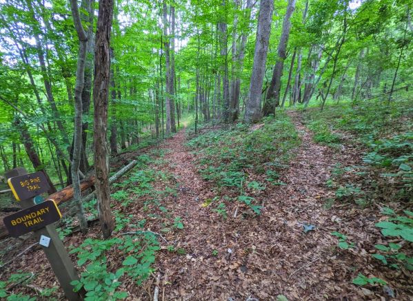 Trail intersection in Bluestone State Park