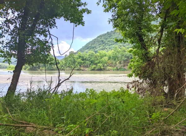 View of Bluestone Lake through trees