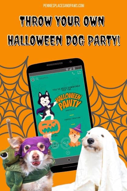 How to throw the best Halloween Dog Party pin