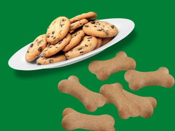 Chocolate Chip Cookies and dog treats