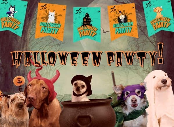 Dogs in Costume around a cauldron and Halloween Pawty banners above them