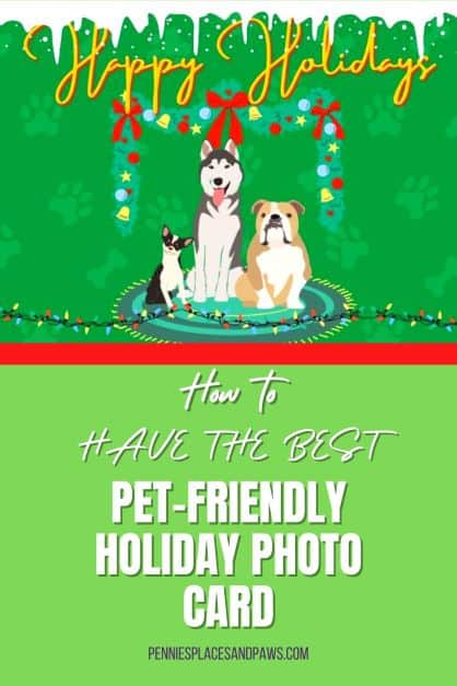 How to have the best pet-friendly holiday photo card pin
