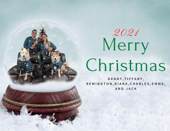 Family of two humans, 4 dogs, and a ferret wearing matching Christmas Pajamas in a Snow Globe
