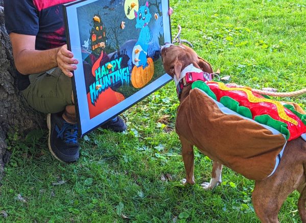 dog wearing a hotdog costume playing Pin the Tail on the Werepup