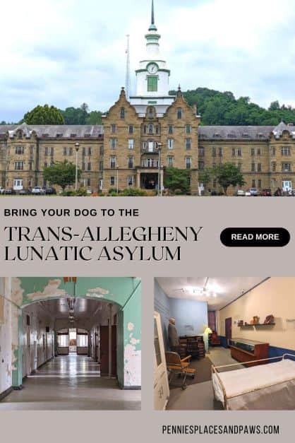 Bring Your Dog to the Trans-Allegheny Lunatic Asylum pin