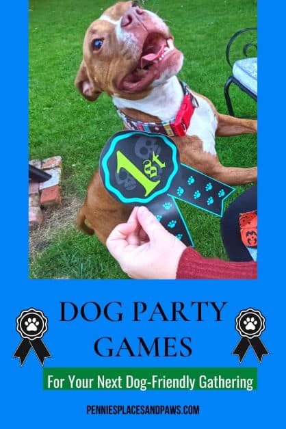 Dog Party Games pin