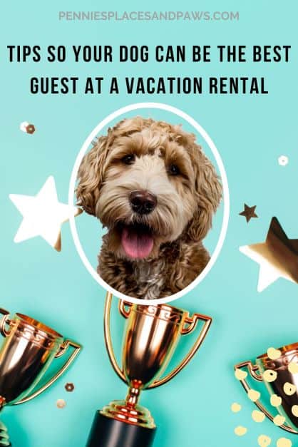 Tips for Staying at Vacation Rentals with Your Dog pin