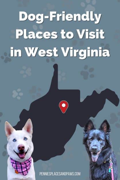 Dog friendly West Virginia pin