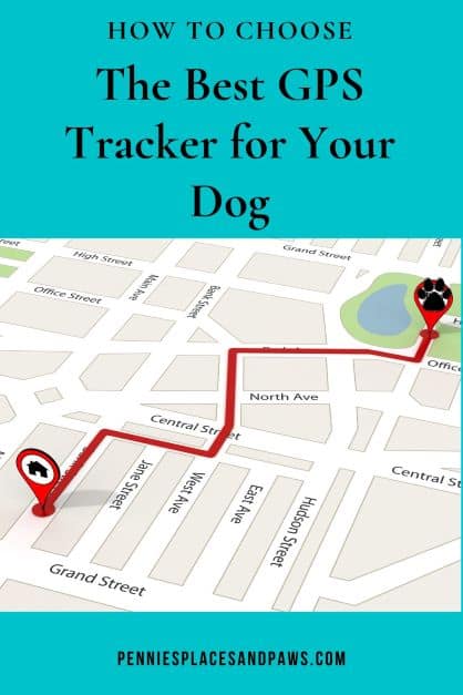 Pin for How to choose the best gps tracker for your dog