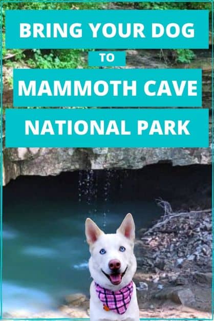 Pin for Dog-friendly Mammoth Cave National Park