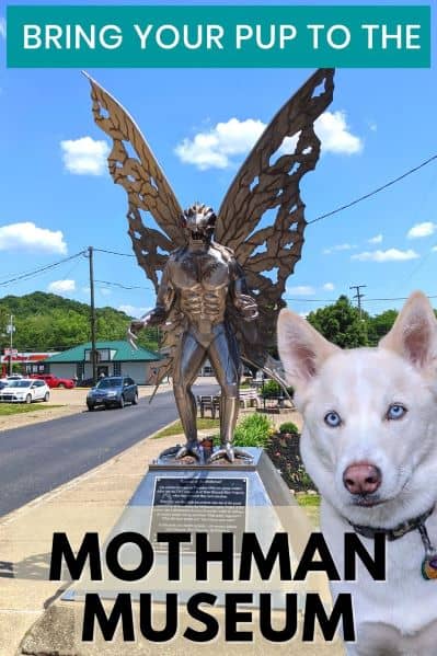 Dog-friendly Mothman Museum pin