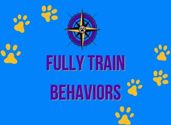 Fully Train Behaviors