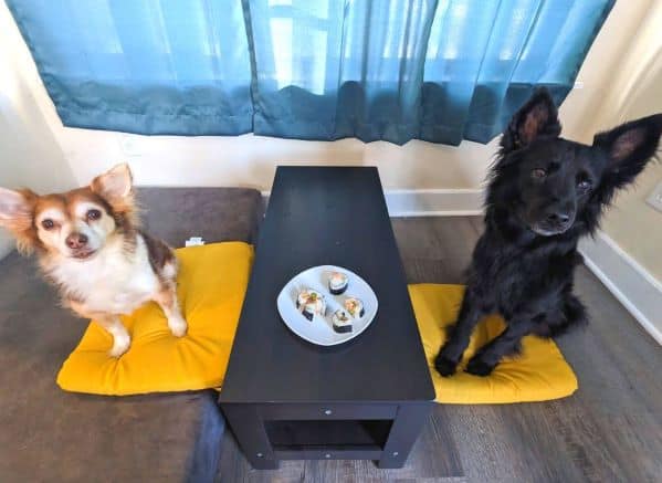 2 dogs sitting next to a table with dog sushi treats on it
