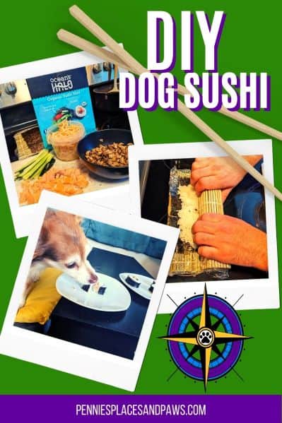 DIY Sushi Treats for Dogs pin