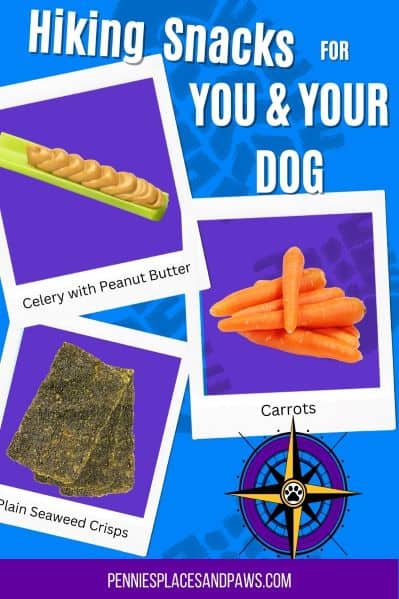 Hiking snacks for dogs pin