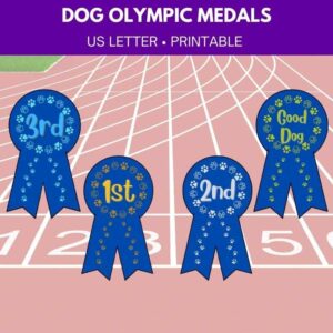 4 DOG OLYMPIC MEDALS; 1st, 2nd, and 3rd place and a "good dog" medal