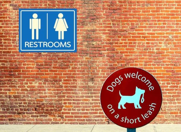 Dogs Welcome sign in front of a brick wall with a restroom sign