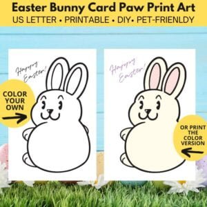 2 cards with bunnies on them. One black and white and the other in color