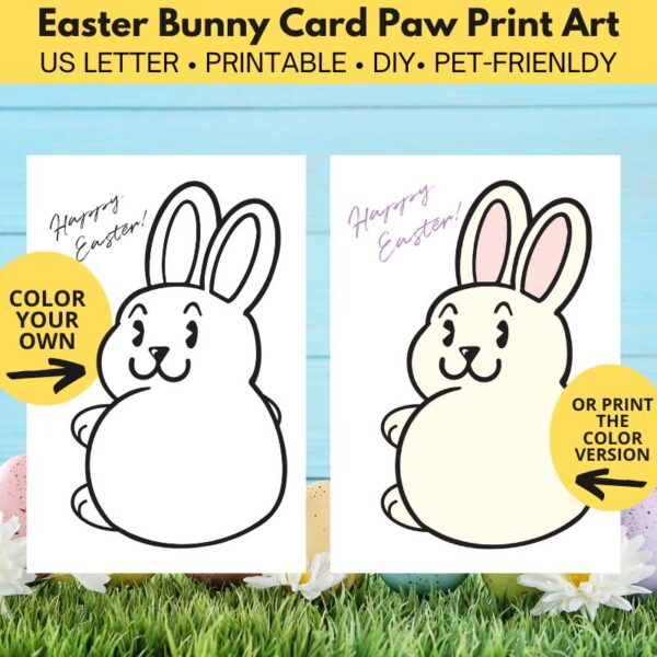 2 cards with bunnies on them. One black and white and the other in color