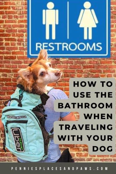 How to use the Restroom while road-tripping with a dog pin