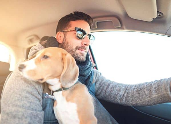 Man driving with a dog in his lap